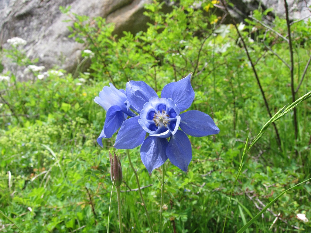 085