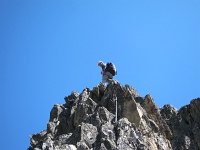  Laurent sort au sommet