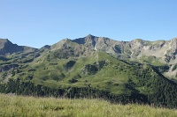  Piolit