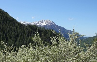  petite Autane