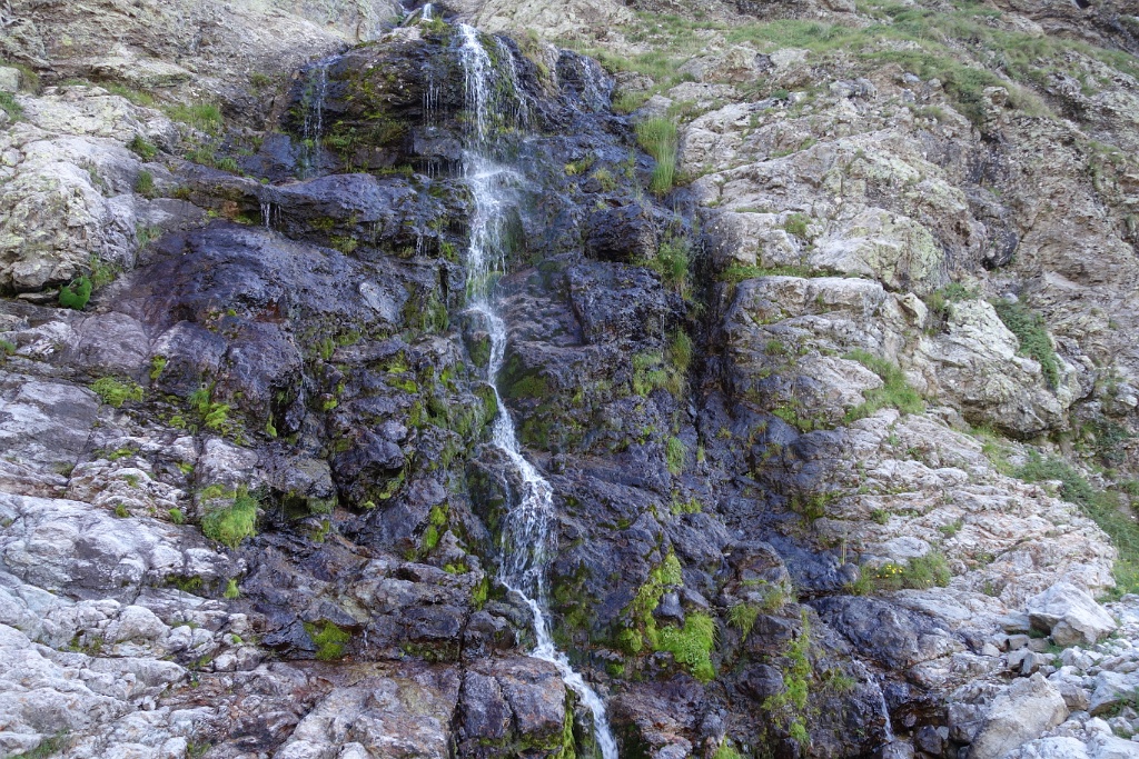 DSC03877
