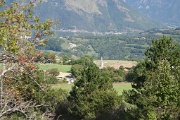  Pellafol 