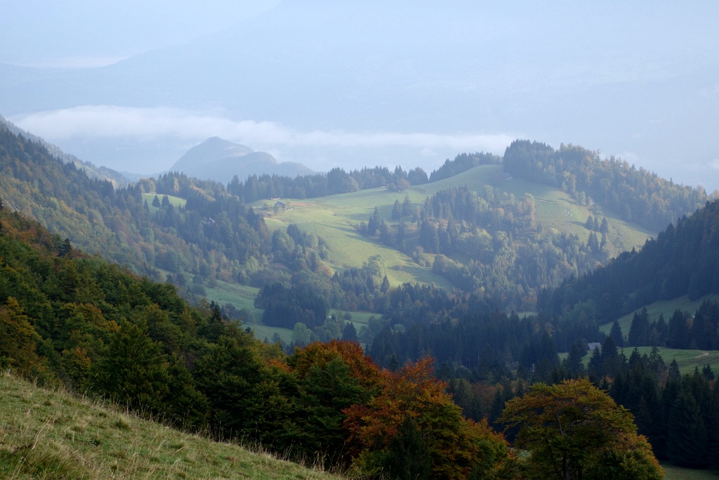 DSC04384