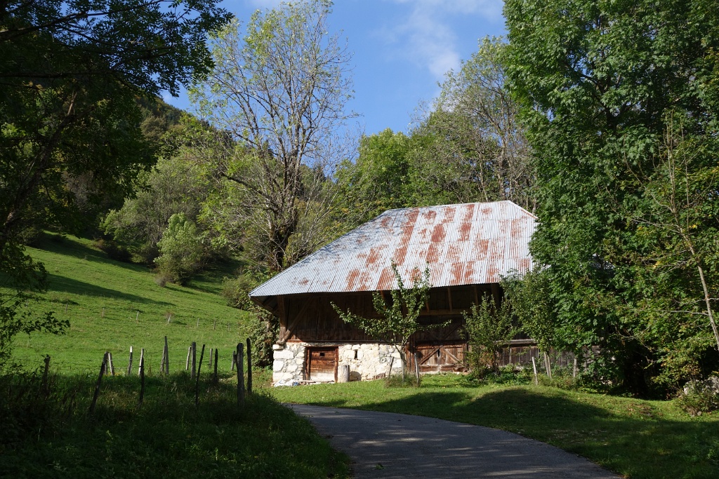 DSC04440