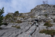  cela traverse à gauche