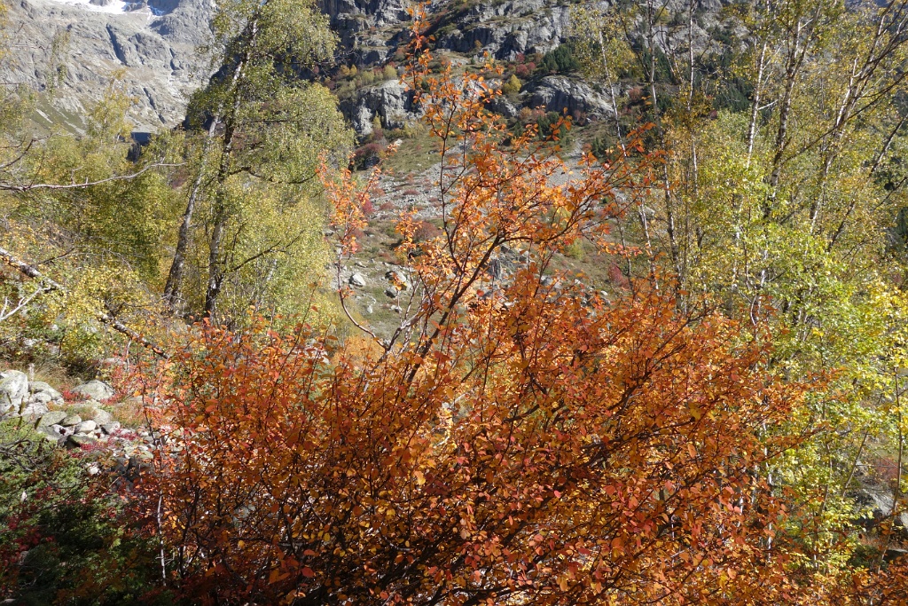 DSC02738