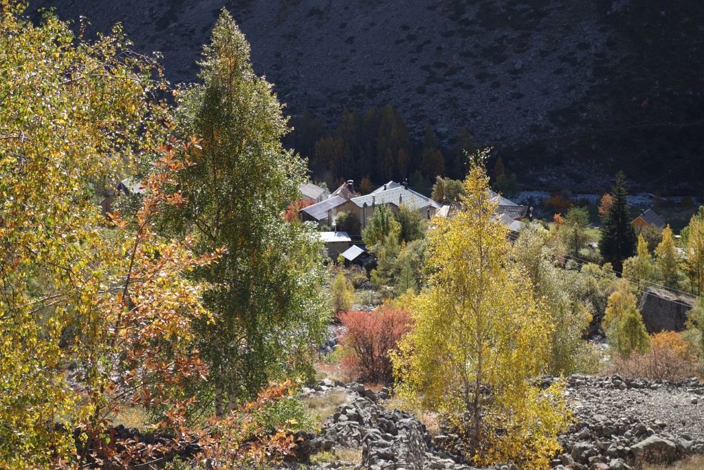 DSC02743