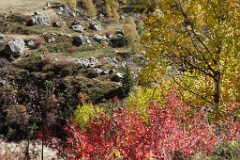  Descente par le sentier de la Maye, dans les couleurs d'automne