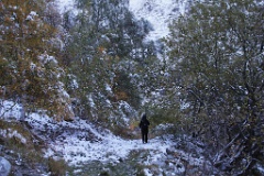  Un peu de neige au sol vers 1500 m