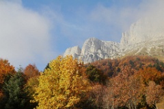  On sort de la forêt