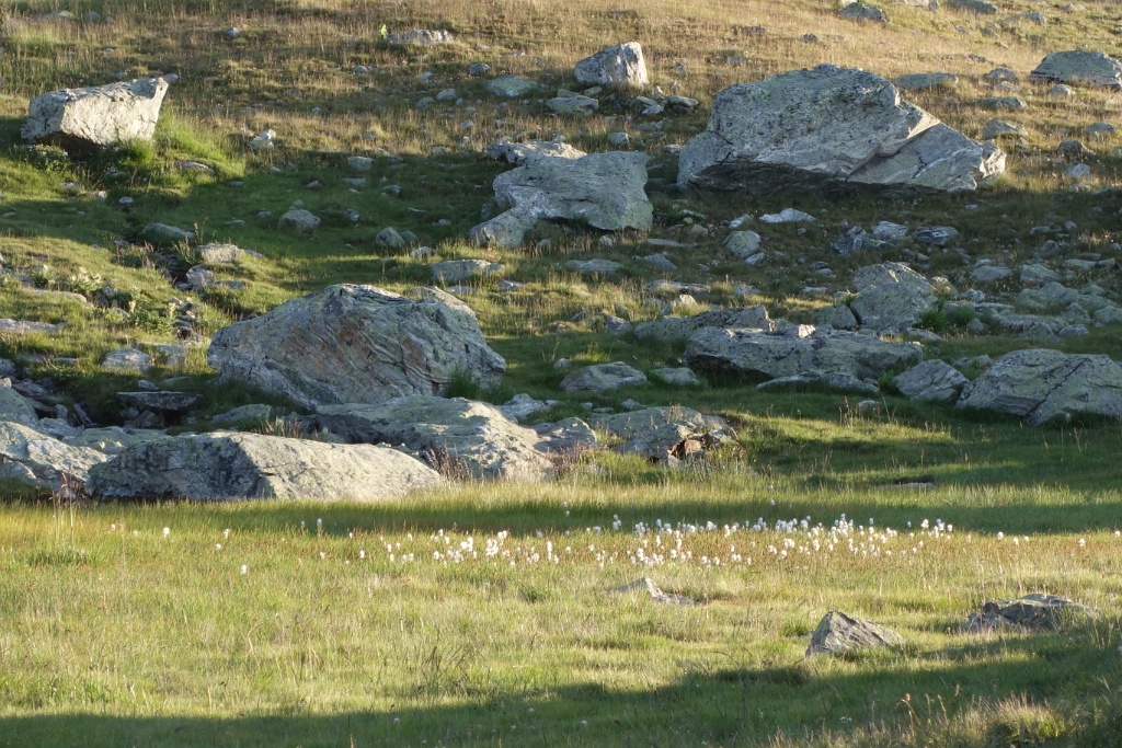 DSC00917