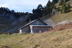  bergerie