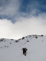  trace deans 20cm de fraiche