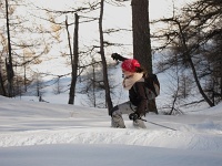  ski en forêt