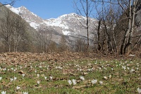  promenade à Ailefroide