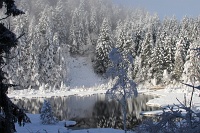  le Luitel