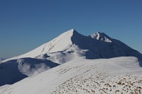  petite Autane