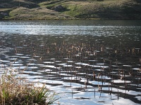  le lac