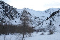  ce fond de vallon est complètement nord