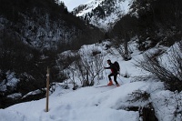  chemin délicat