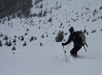  la pente de neige au dessus de la forêt est la meilleure