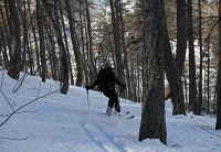  c'est encore bon dans la forêt