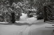  une trace devant nous