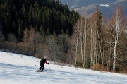  derniers virages dans les feuillus