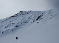  Xavier à la trace 