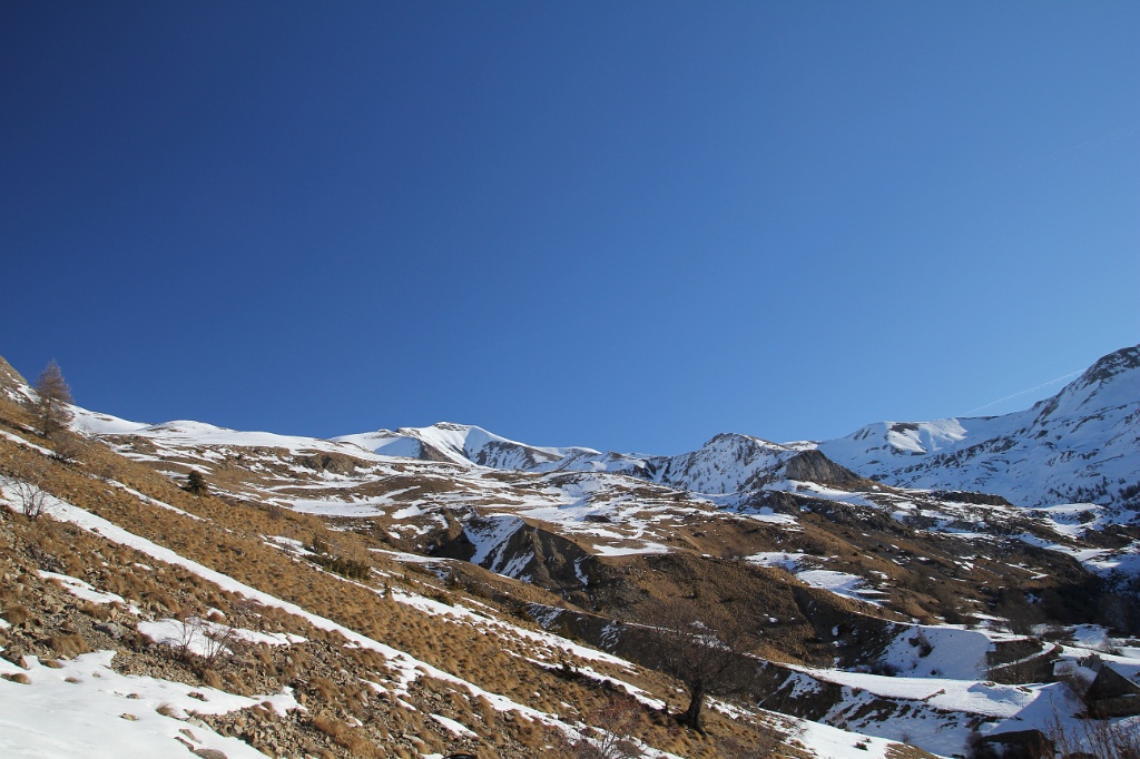 IMG_6933