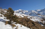  Grande Autane