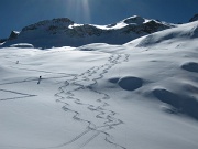  nos traces