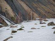  les schistes du début du vallon