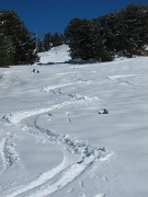 sur les pistes de Roche Béranger