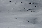  on suit des connaisseurs et on rejoint la combe bien transformée sous le col de la Vallée Etroite