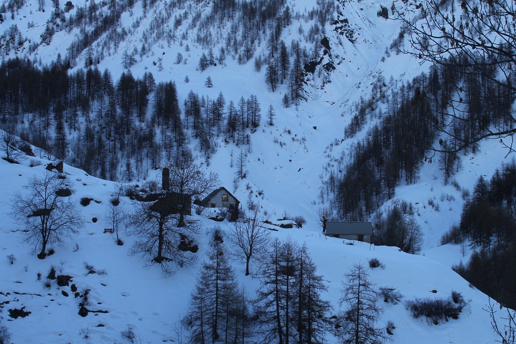 IMG_1324