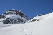  contrepentes en poudre