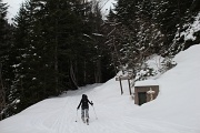  on entre dans la forêt 
