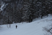  trace dans la forêt