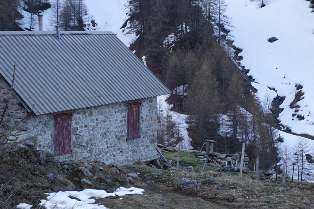 DSC00351