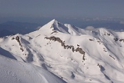  le Piolit