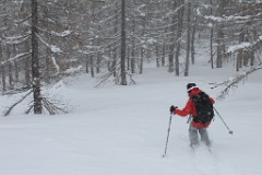  descente dans une poudreuse dense