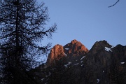  Tête de Gaulent