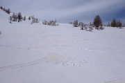  neige transformée magnifique