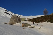 neige bien gelée 