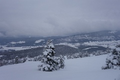  le plateau