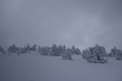  de vraies boules de neige - glace 