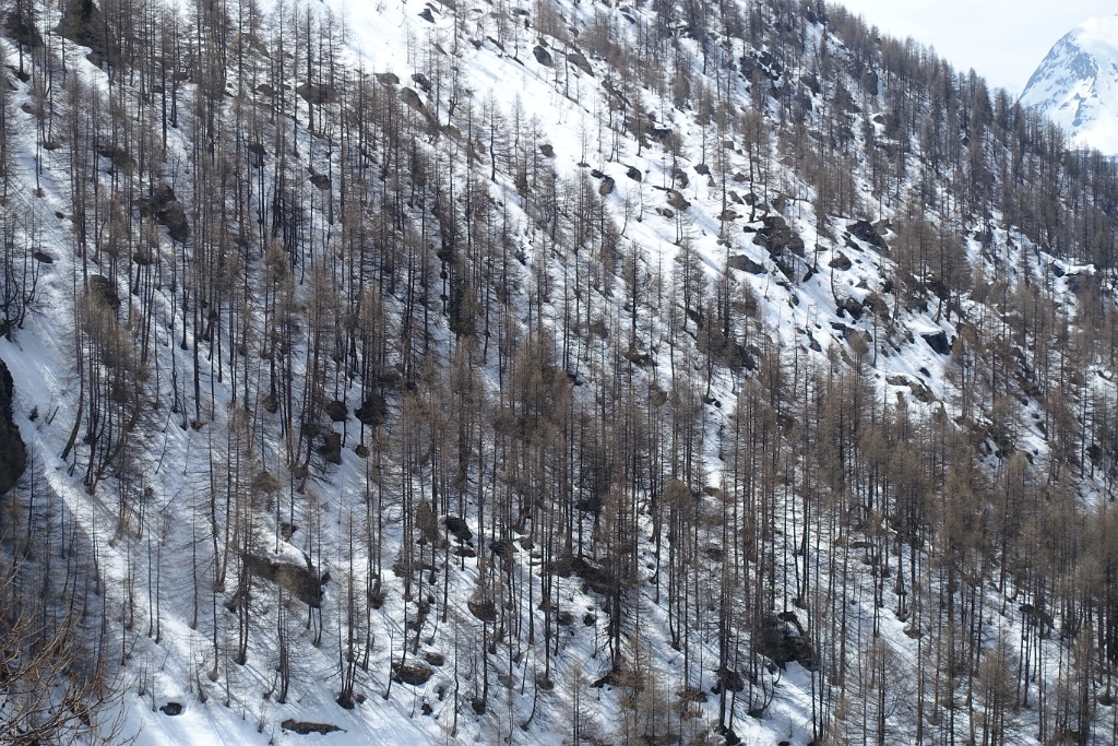DSC00459