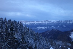  Chartreuse