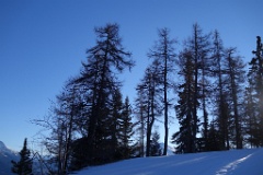  départ de la petite station des Karellys ; un itinéraire en forêt
